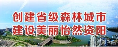 日屁视频应用创建省级森林城市 建设美丽怡然资阳